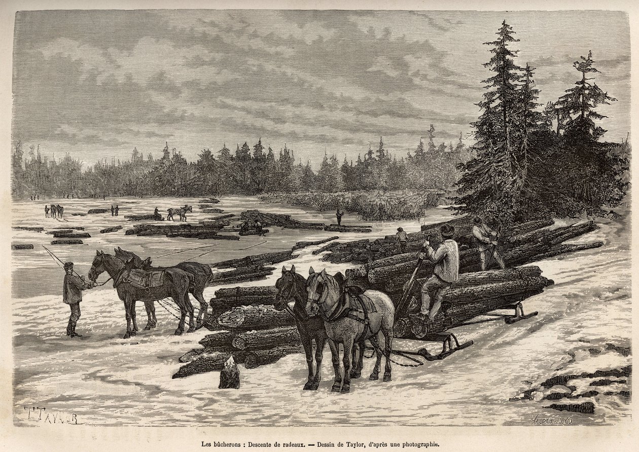 El descenso de las balsas en Ontario, los leñadores descargan los troncos cortados y los instalan en el río helado, luego durante el deshielo, los troncos serán llevados por la corriente al lugar donde serán descargados y transformados, grabado según un di de T Taylor