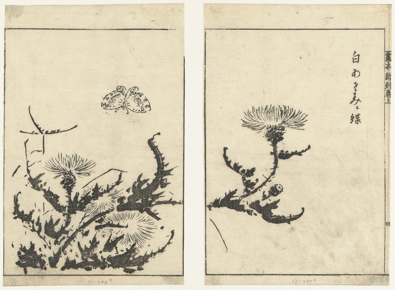 ji s mano ls jardín vin de r Esta es la declaración final (serie s land) de Tachibana Morikuni (attributed to)