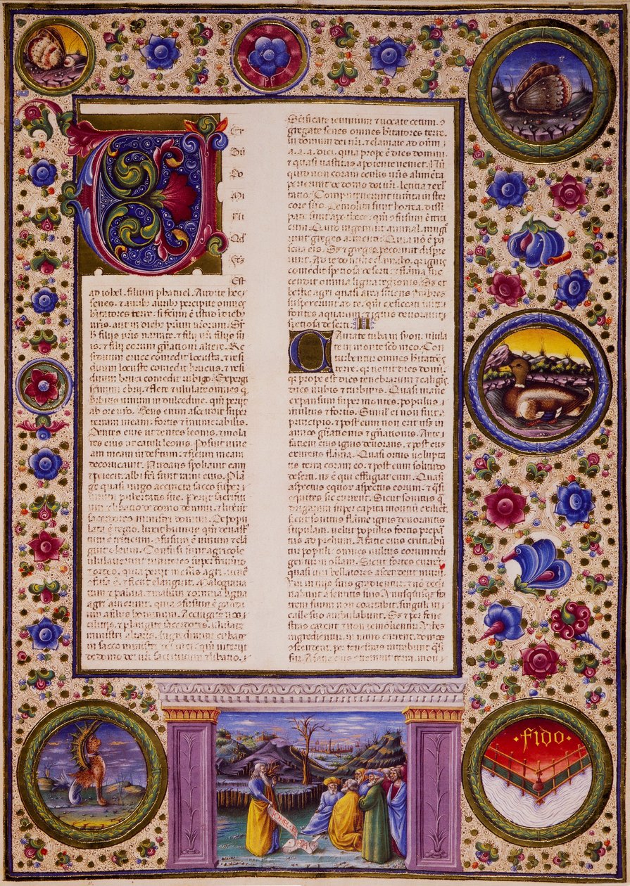 Incipit del Libro de Joel de Taddeo Crivelli