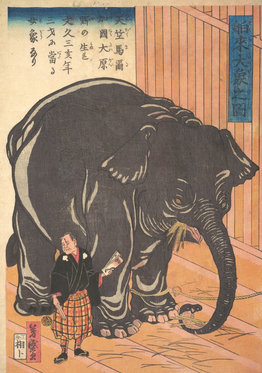 Vista del Gran Elefante Importado, 1863 Bunkyo 3, 4º mes de Taguchi Yoshimori