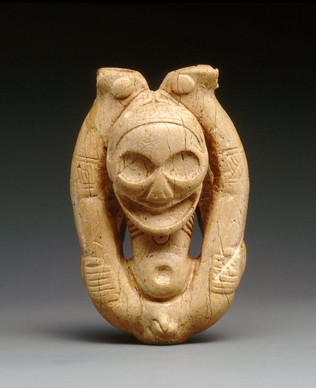 Inhalador de Cohoba (hueso de manatí) de Taino Culture
