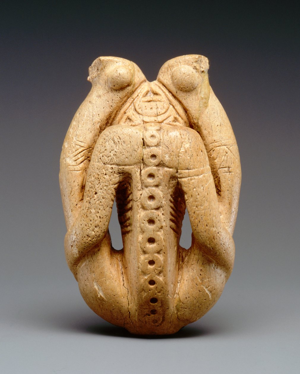 Inhalador de Cohoba (hueso de manatí) de Taino Culture