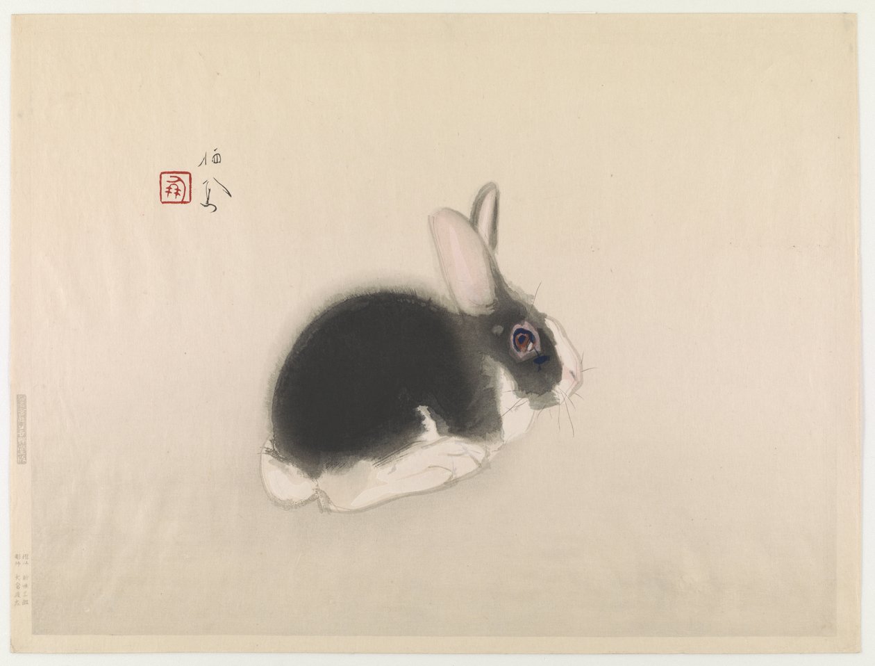 Conejo de Takeuchi Seiho