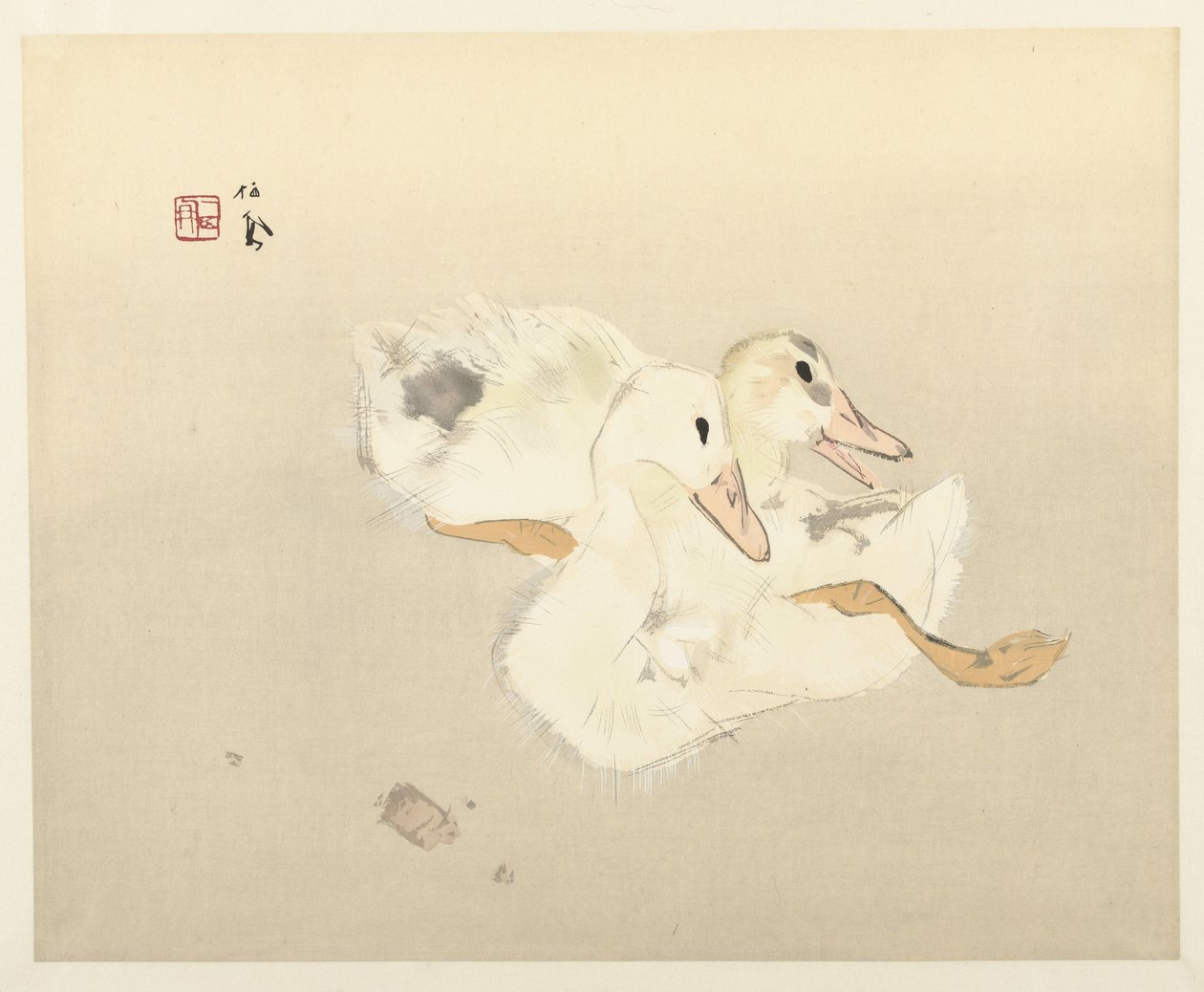 patos jóvenes de Takeuchi Seiho