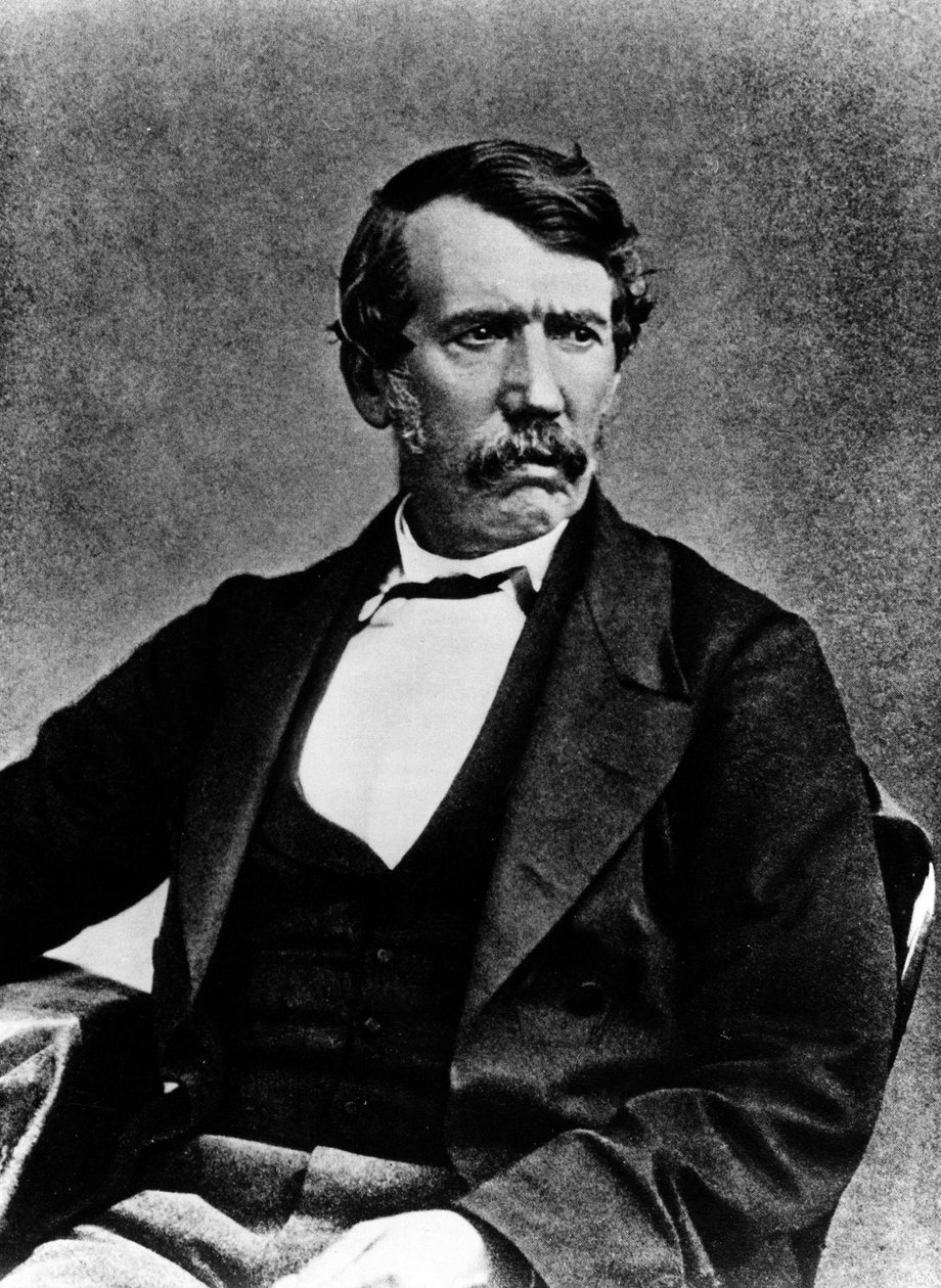 Retrato de Livingstone - fotografía de Annan y hijos, Glasgow de T.and R. Annan and Sons