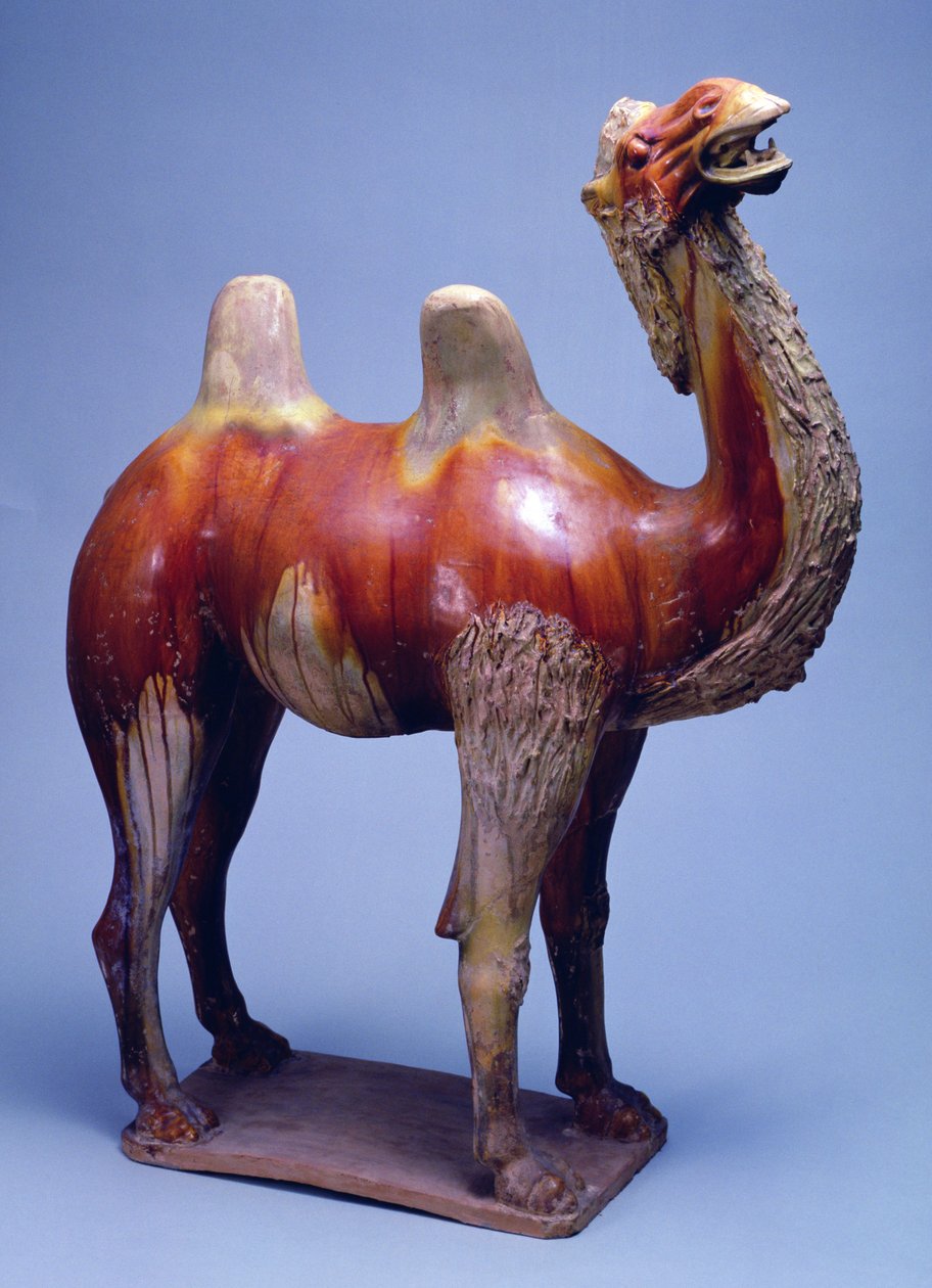 Camello, Dinastía Tang de Tang Dynasty Chinese School