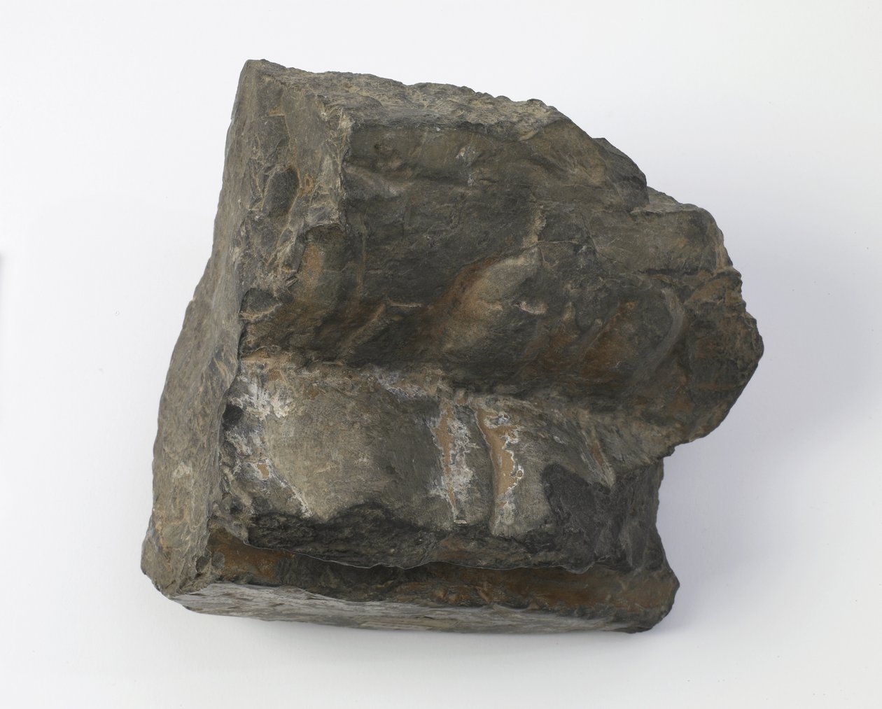Fragmento de un pedestal de loto de Tang Dynasty Chinese School