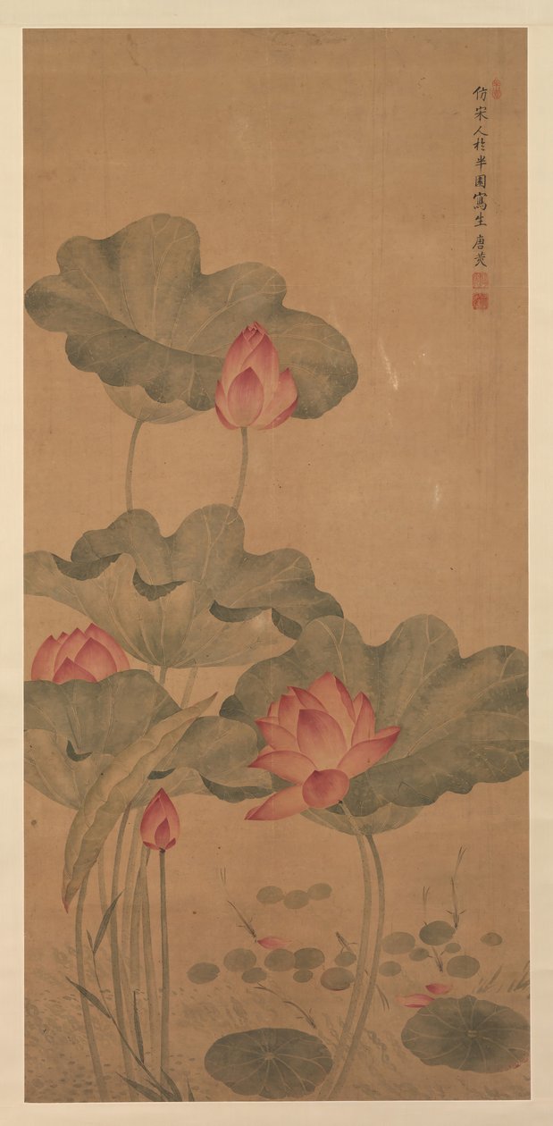 Loto rojo y pez de Tang Guang