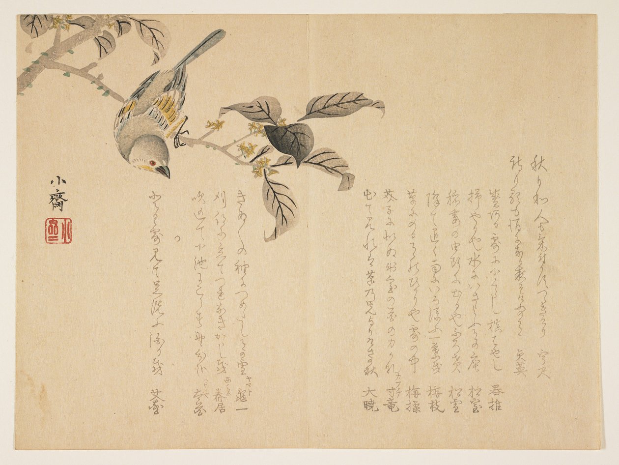 Pájaro en una rama de Tanomura Shsai