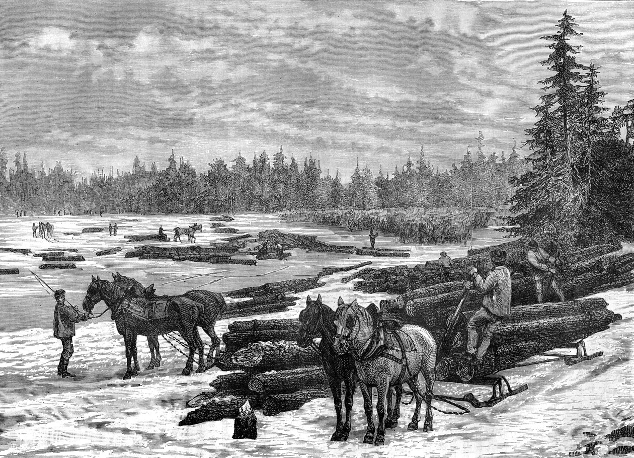 Leñadores canadienses, siglo XIX de Taylor