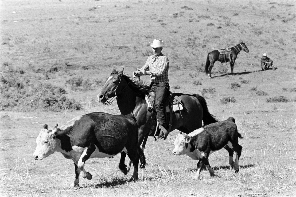 Robert Staffanson de Ted Spiegel