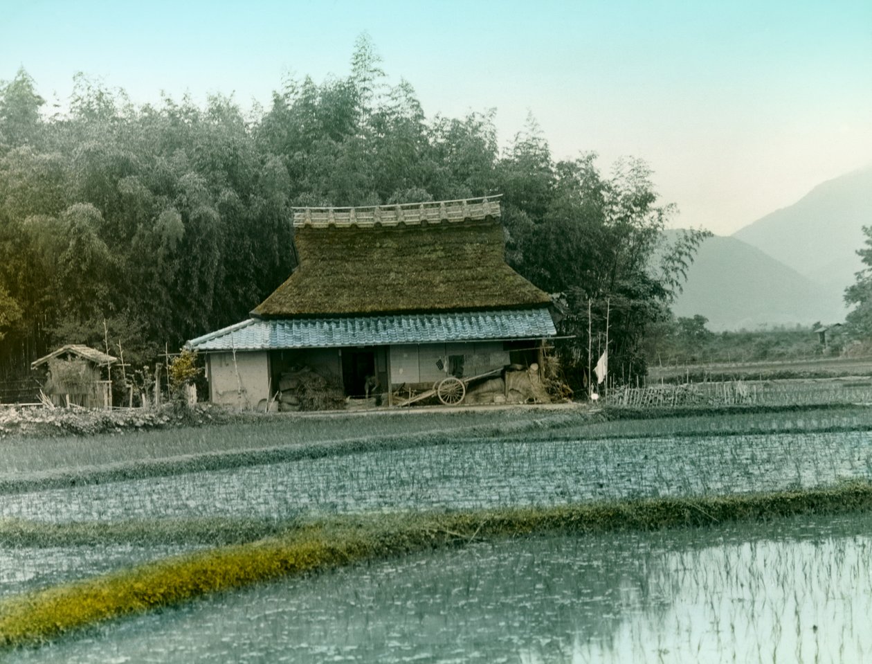  de Teijiro Takagi