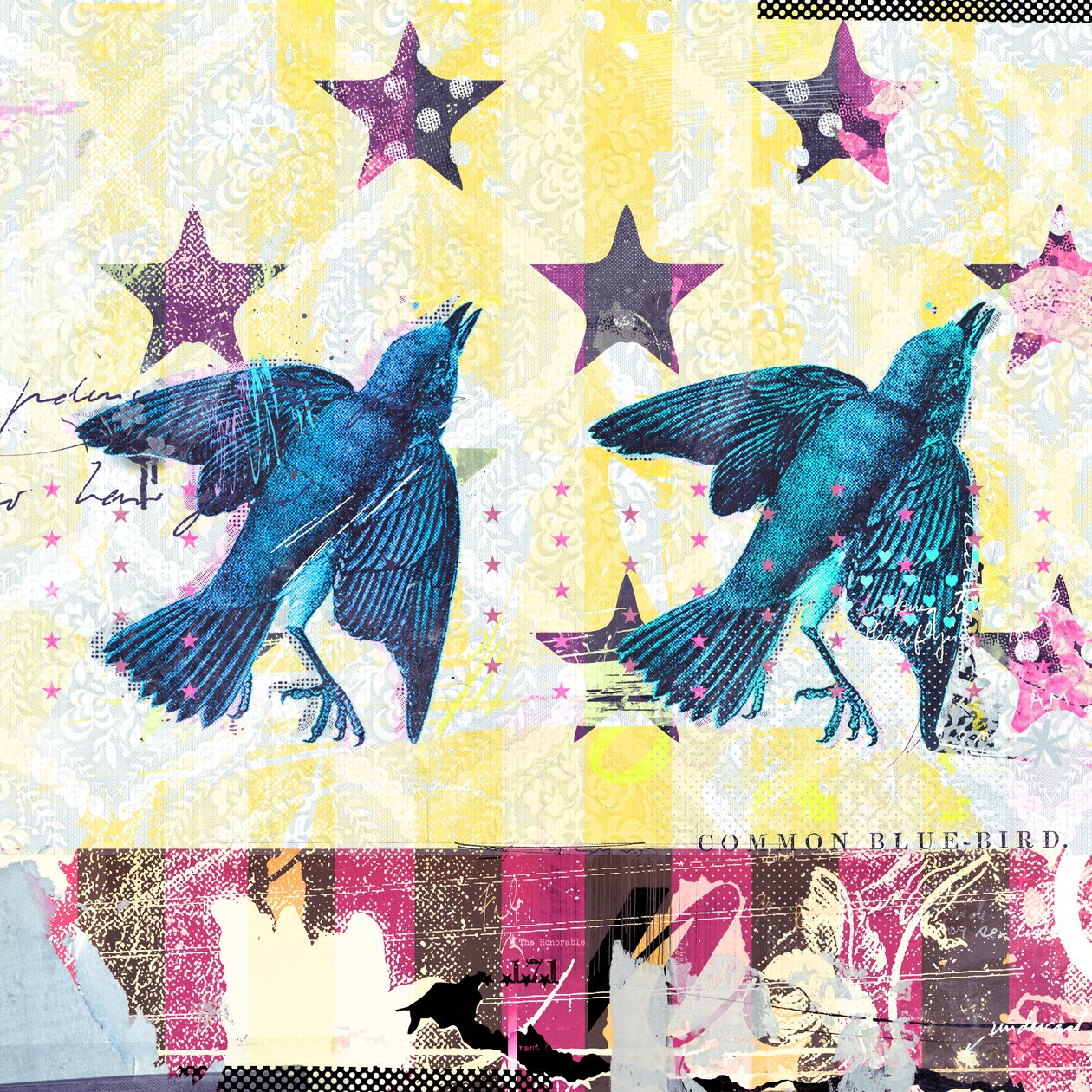Pájaros en serie, 2015 (Collage sobre lienzo) de Teis Albers