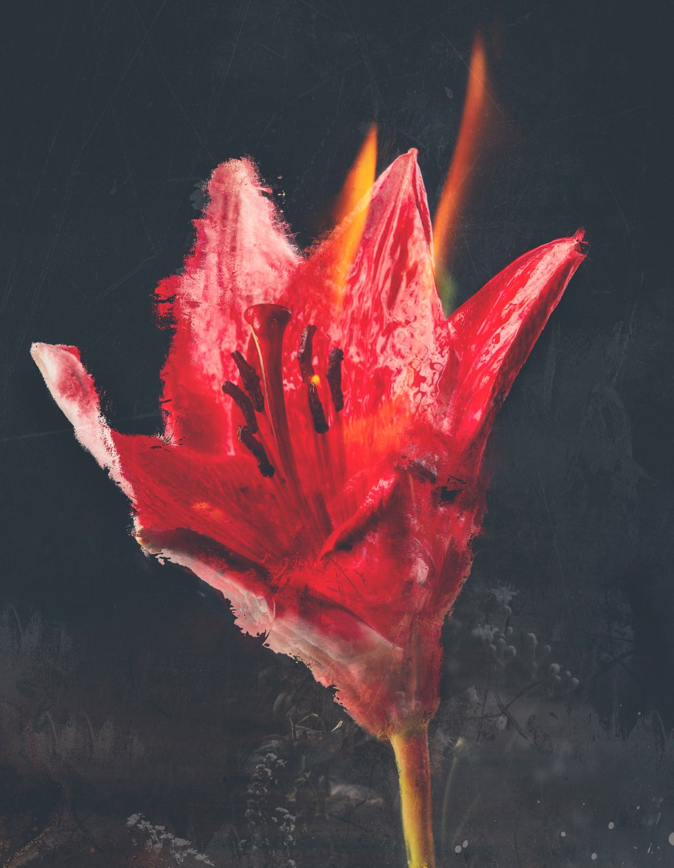 Combust, 2019 (técnica mixta sobre lienzo) de Teis Albers
