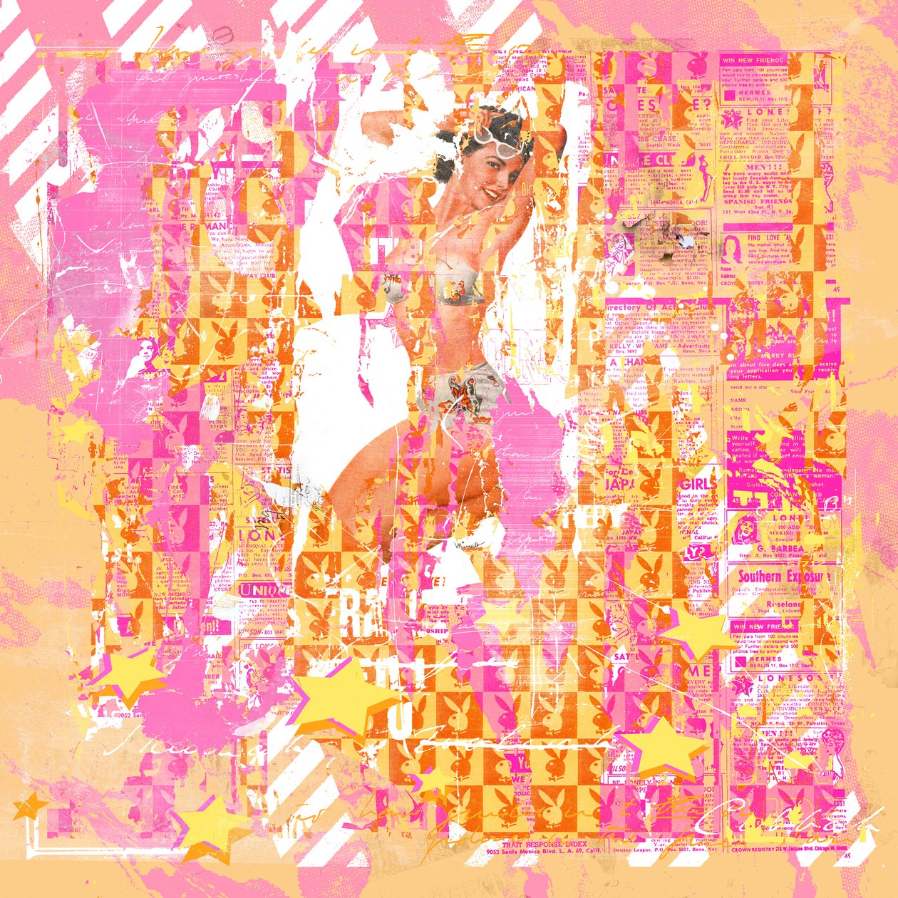 Pinup2, 2014 (técnica mixta sobre lienzo) de Teis Albers