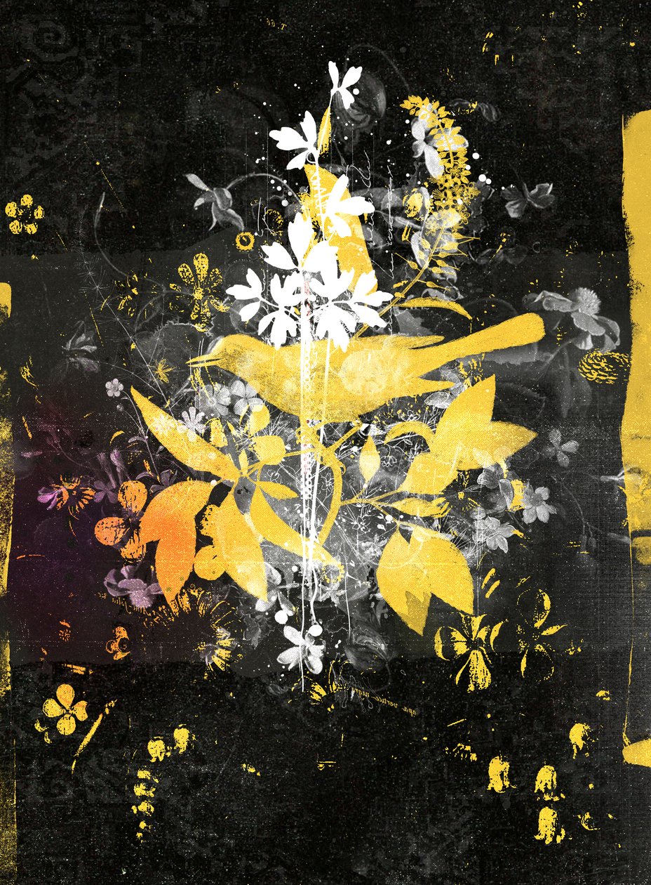 Rise Up!, 2015 (técnica mixta sobre lienzo) de Teis Albers