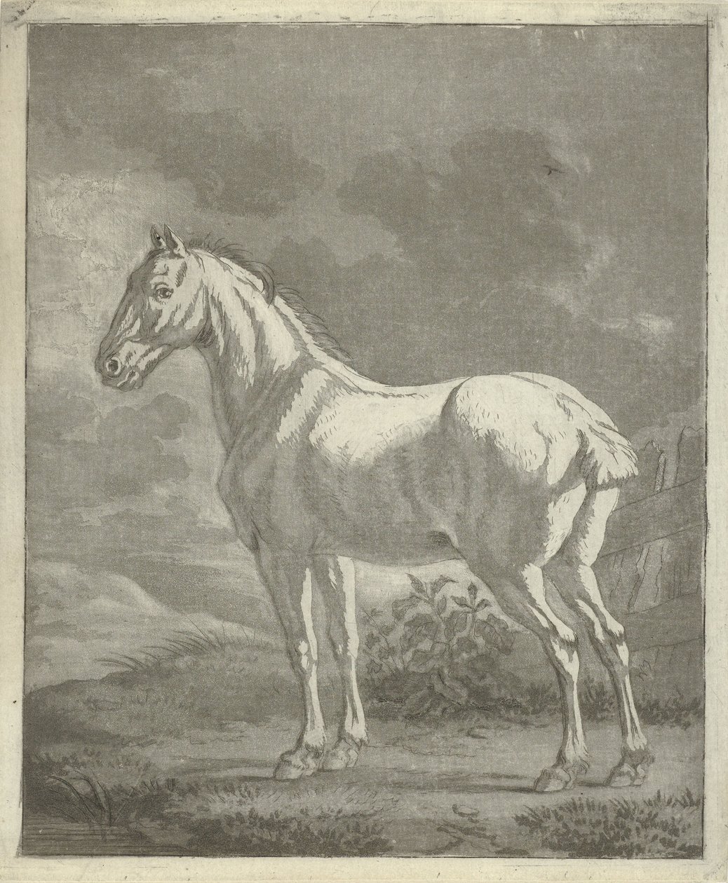 Moho en un prado de Tethart Philip Christian Haag