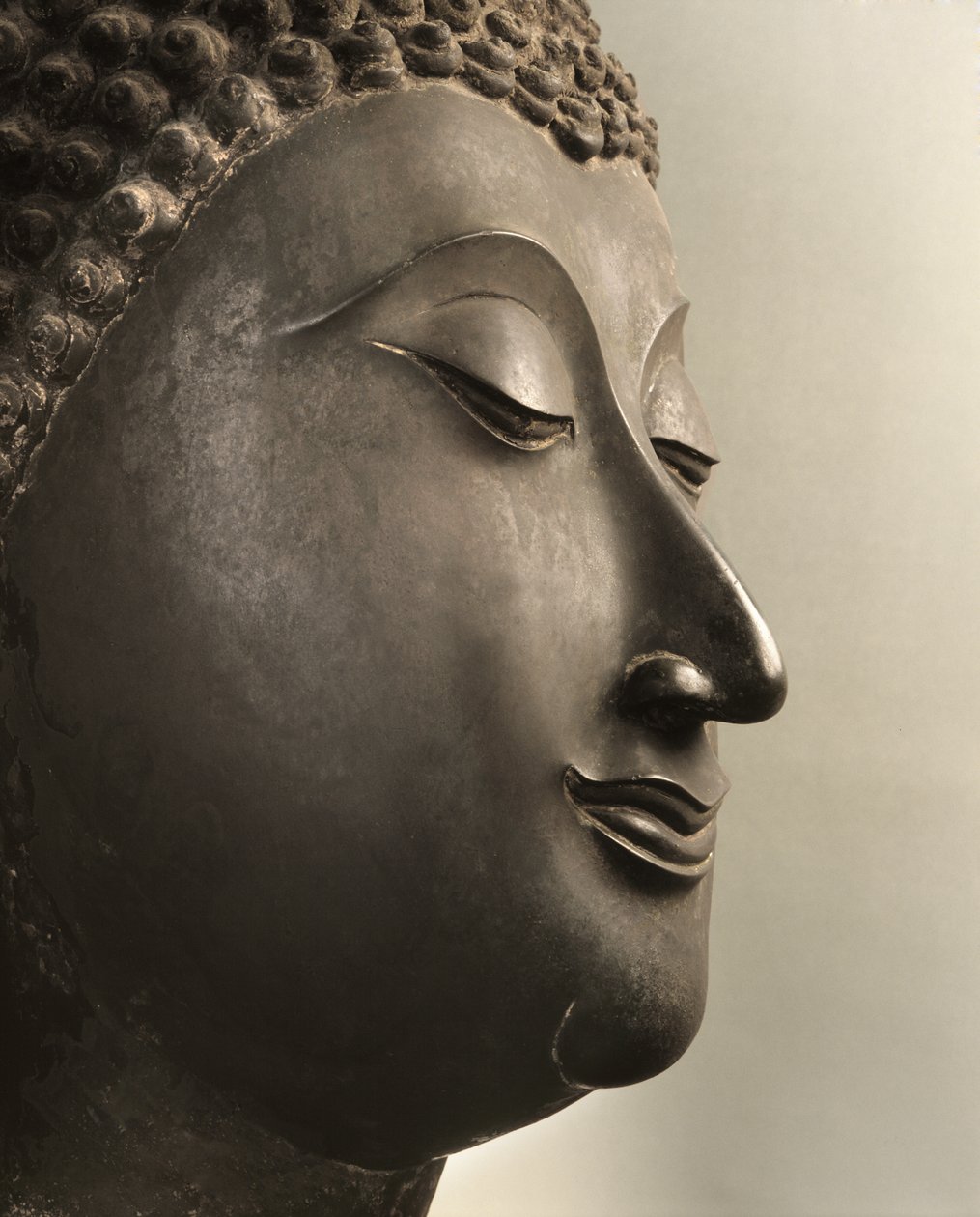 Cabeza de Buda, período Sukhothai de Thai School