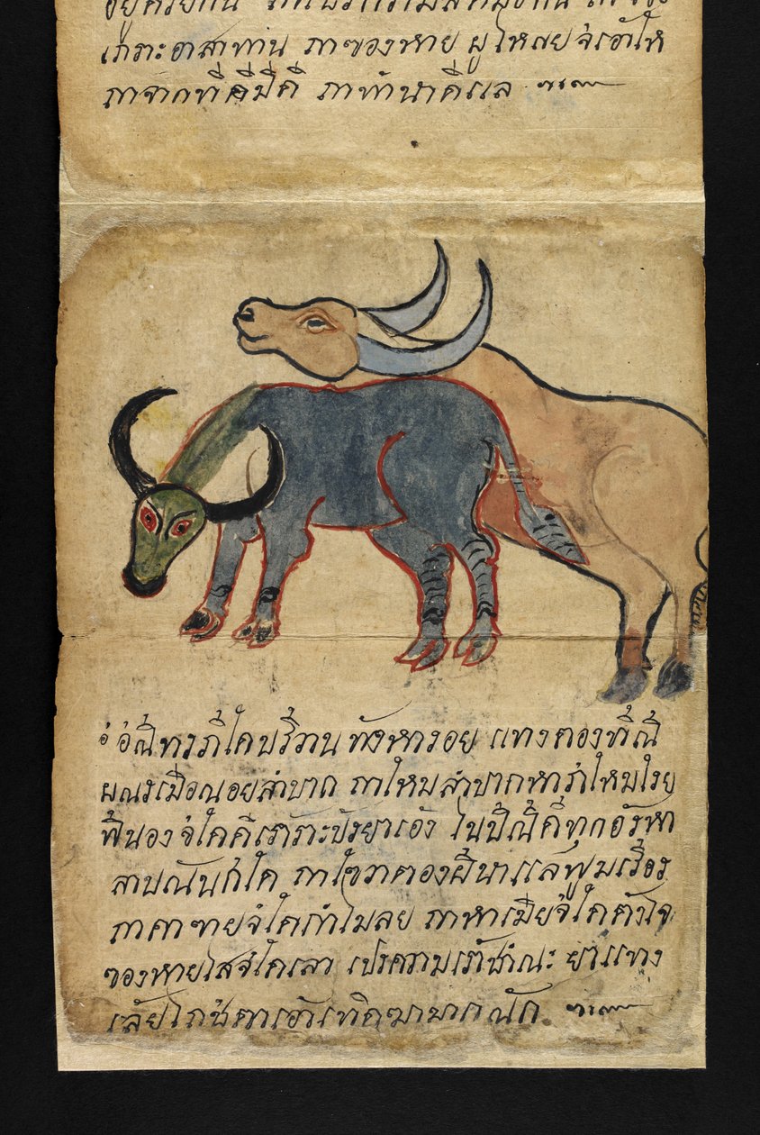 O. 16482, f.15 