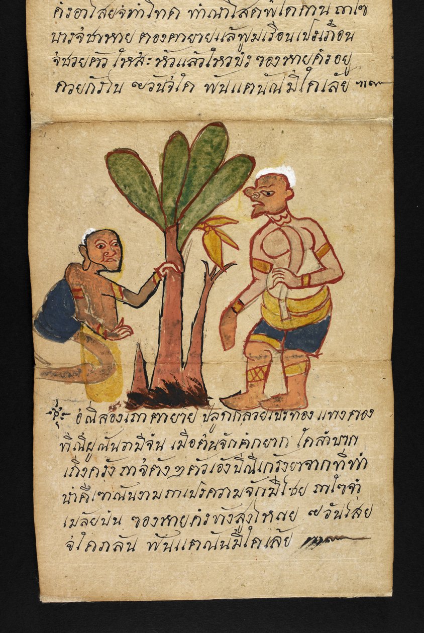 O. 16482, f.21 