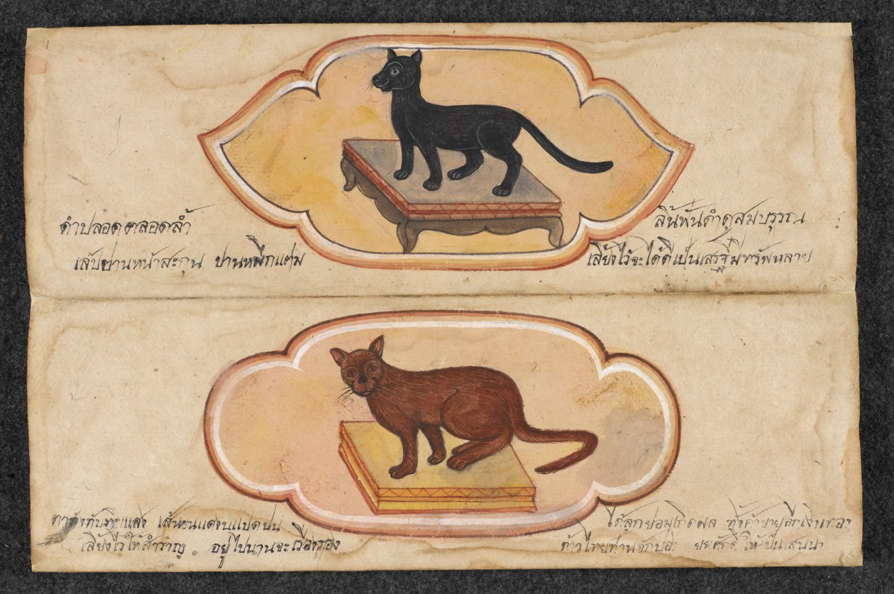 Gatos Siameses, Fol. 1: dos gatos de la suerte para apoyar los negocios y la acumulación de riqueza, Or. 16797, f.1 (pergamino) de Thai School