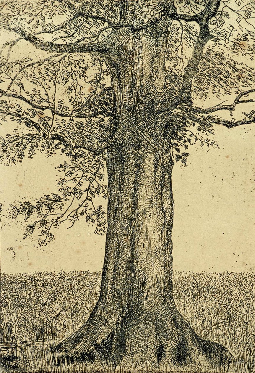 Árbol de Theo van Doesburg