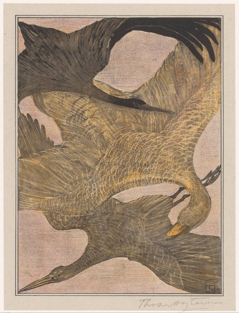 Tres pájaros voladores de Theo van Hoytema (signed by artist)