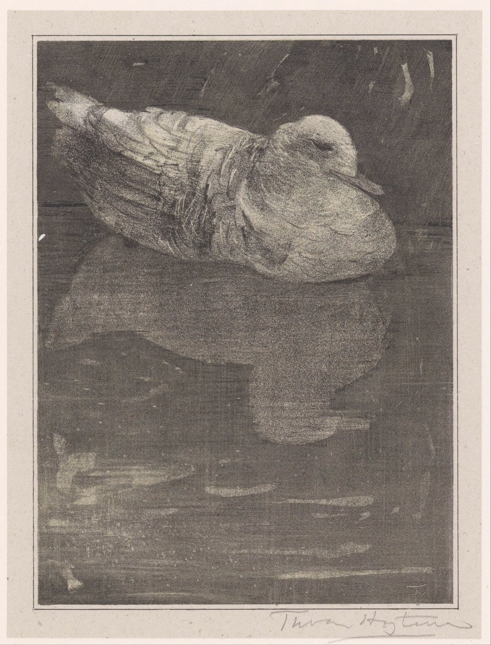 Pato flotante de Theo van Hoytema (signed by artist)