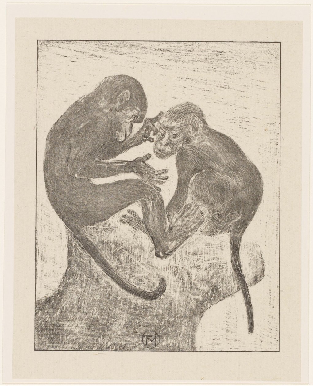 Dos monos pulga de Theo van Hoytema (signed by artist)