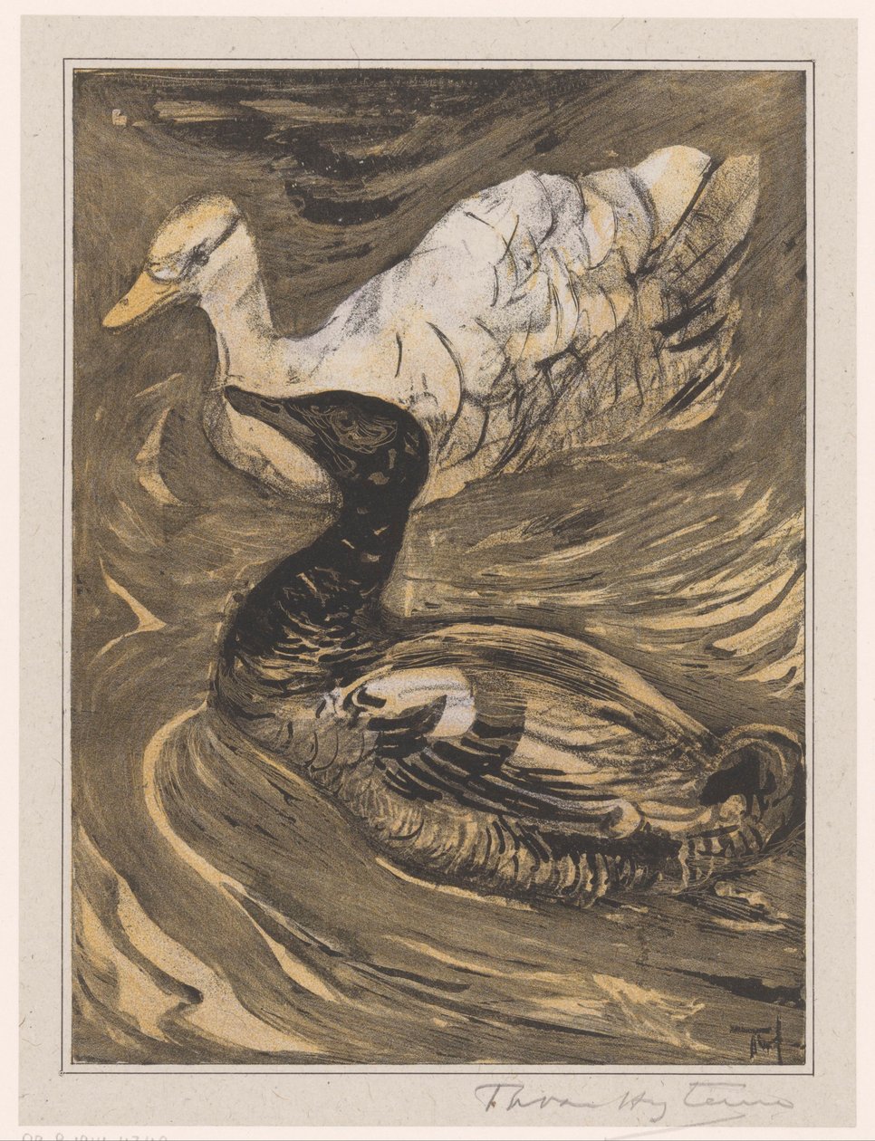 Dos patos nadadores de Theo van Hoytema (signed by artist)