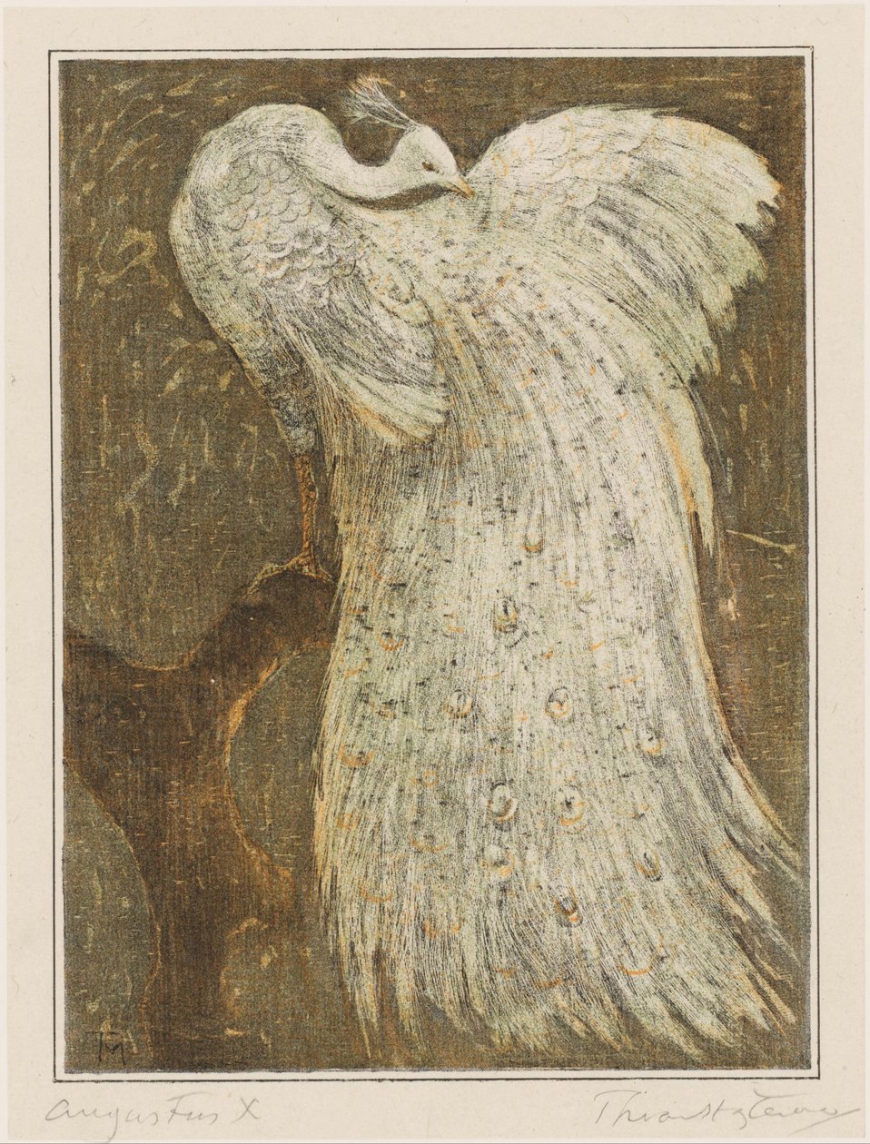 Pavo real blanco en una rama de Theo van Hoytema (signed by artist)