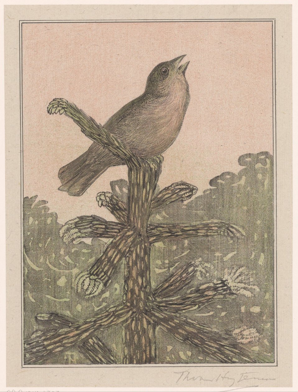 Pájaro cantor en una conífera de Theo van Hoytema (signed by artist)