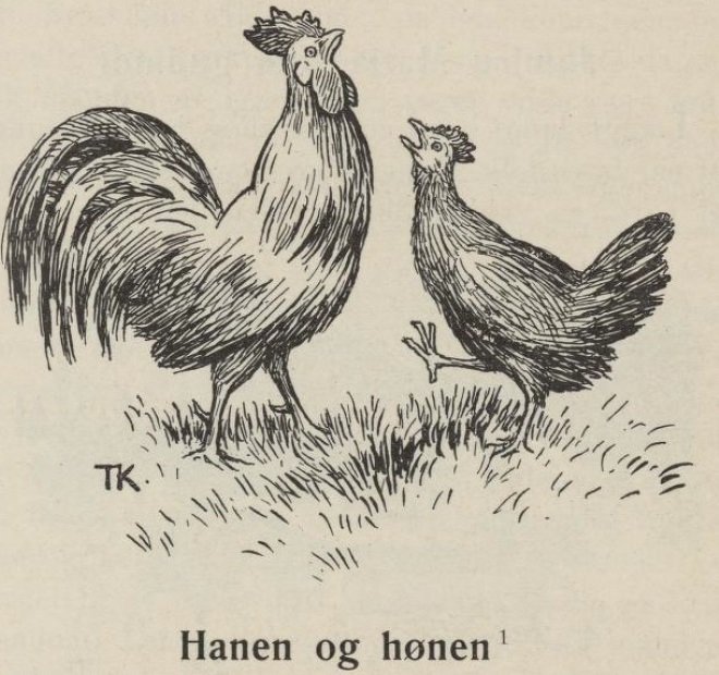 El gallo y la gallina de Theodor Kittelsen