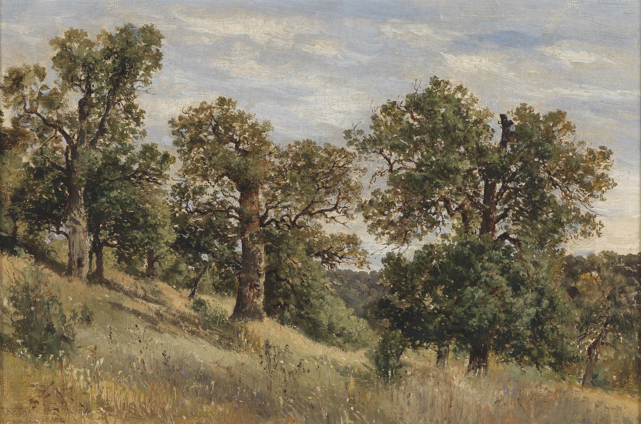 Ladera de montaña con árbol de Theodor von Hormann