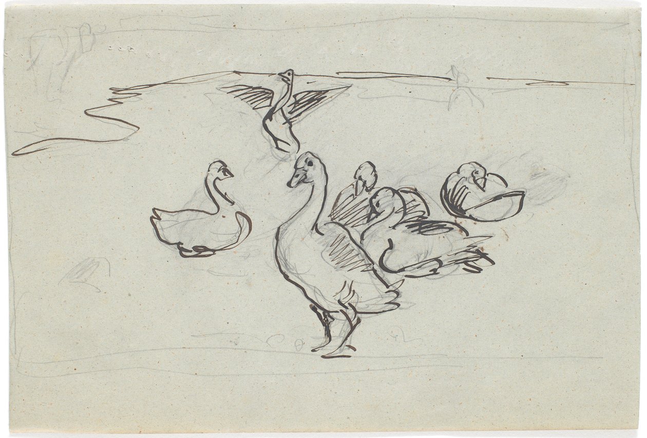 Estudio de gansos de Theodor Philipsen
