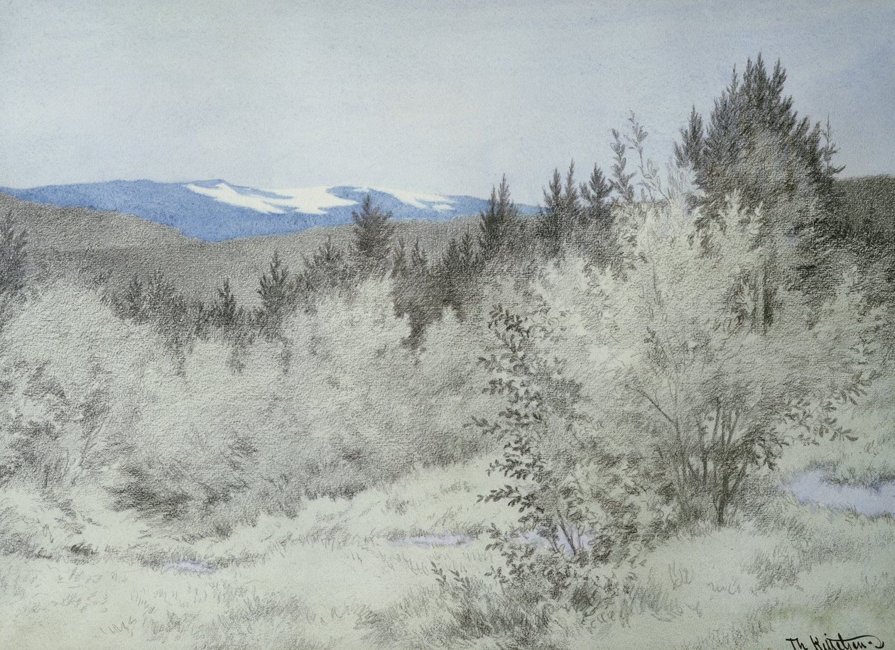 Muy lejos, en el bosque de Theodor Kittelsen