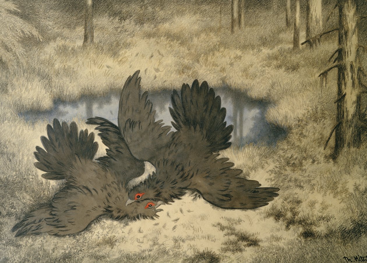 El pájaro troll pelea allí de Theodor Kittelsen