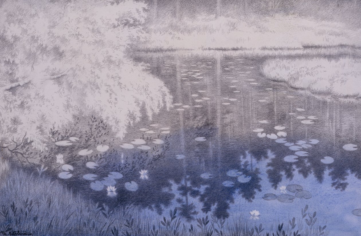 Hay un estanque en Svartebudale de Theodor Kittelsen