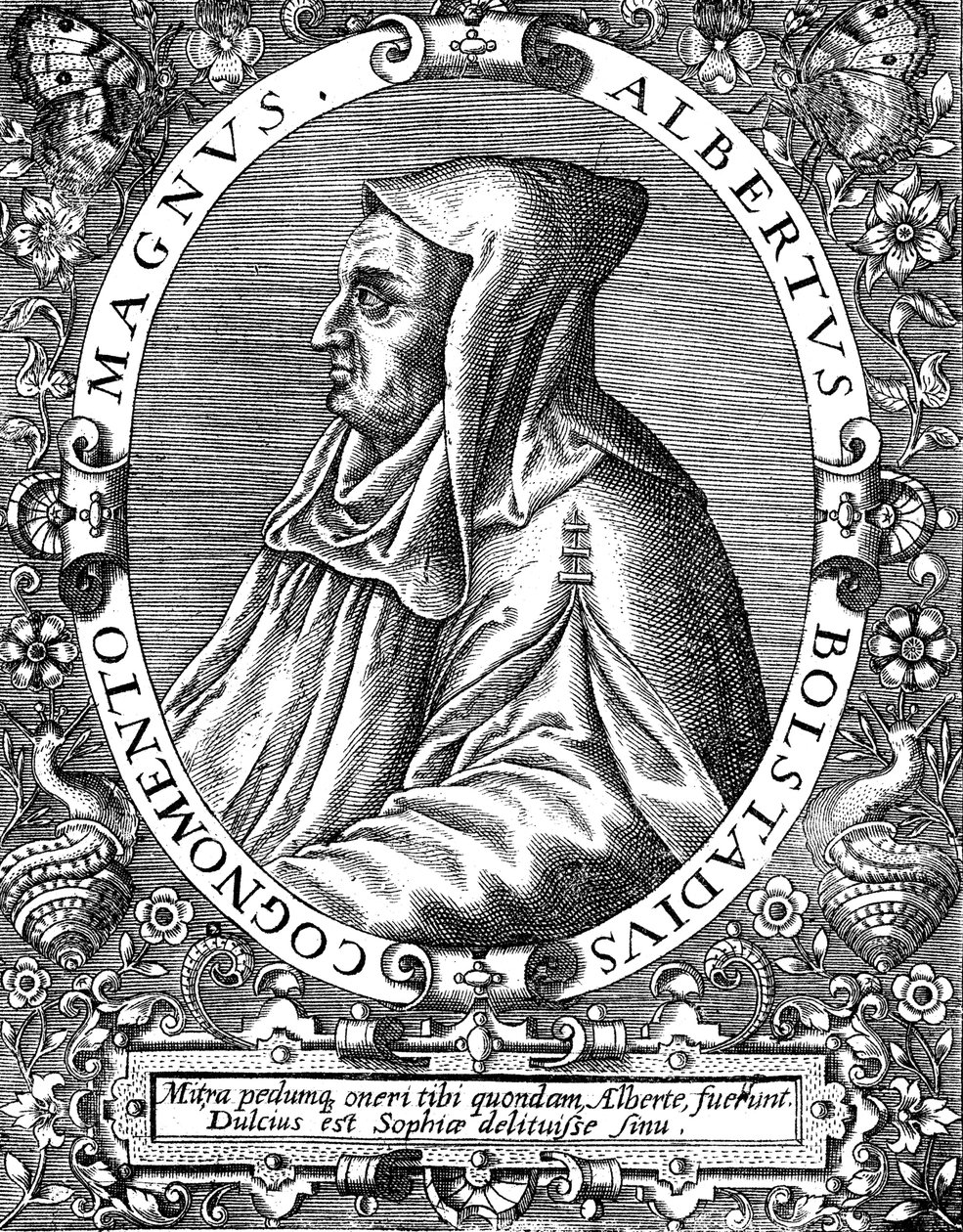 Albertus Magnus c1200-1280 fraile dominico nacido en Alemania, finales del siglo XVI de Theodor de Bry