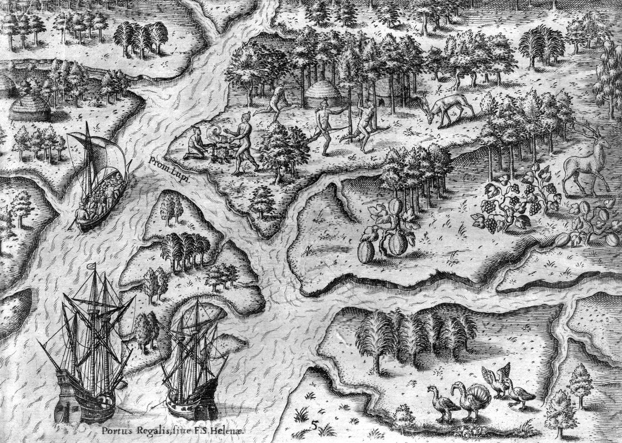 La expedición francesa desembarca en Port Royal, Florida de Theodor de Bry