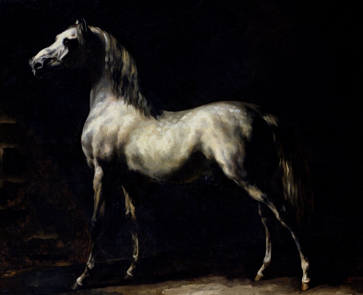 Estudio de un gris moteado de Theodore Gericault