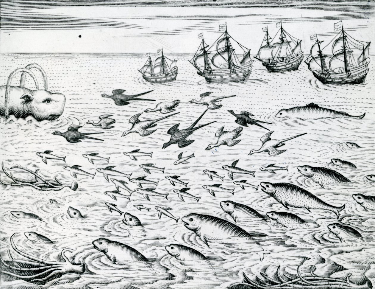 Paisaje marino, Ilustración de 