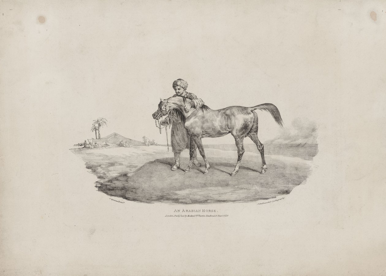 Un caballo árabe de Theodore Gericault