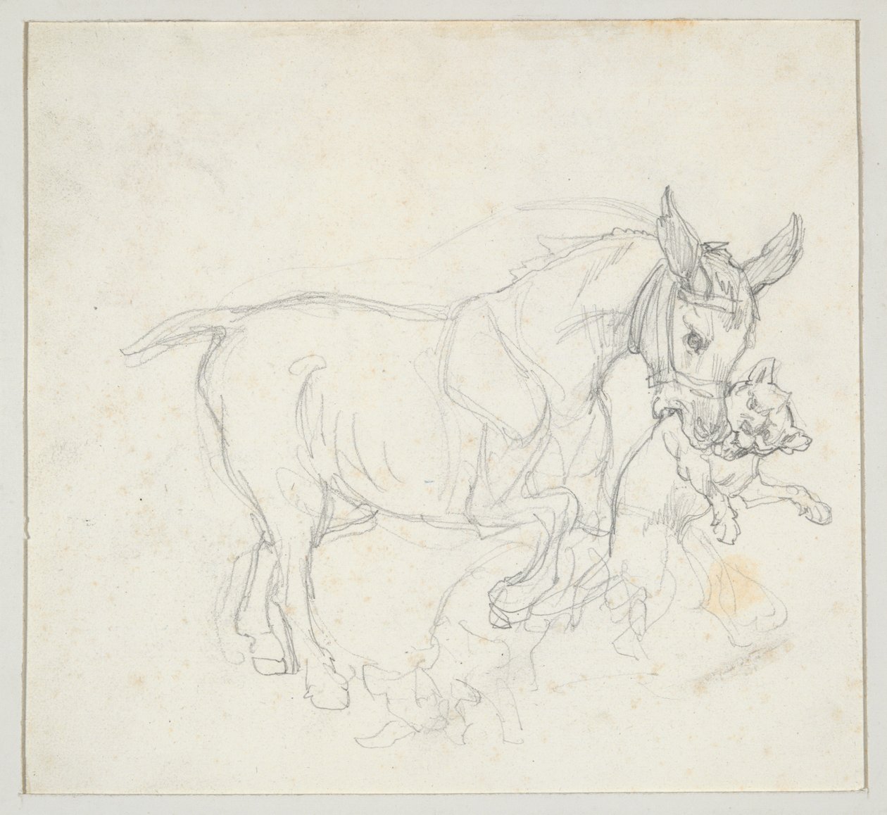 Burro con un perro en la boca (anverso); Estudio de un ciervo perseguido por perros, cabeza de cierva (reverso) de Theodore Gericault