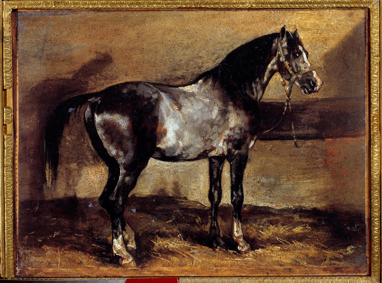 Caballo gris en el pesebre de Theodore Gericault
