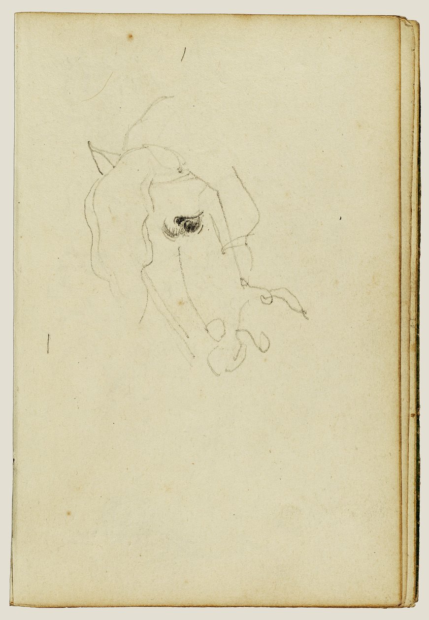 Cabeza de caballo de Theodore Gericault