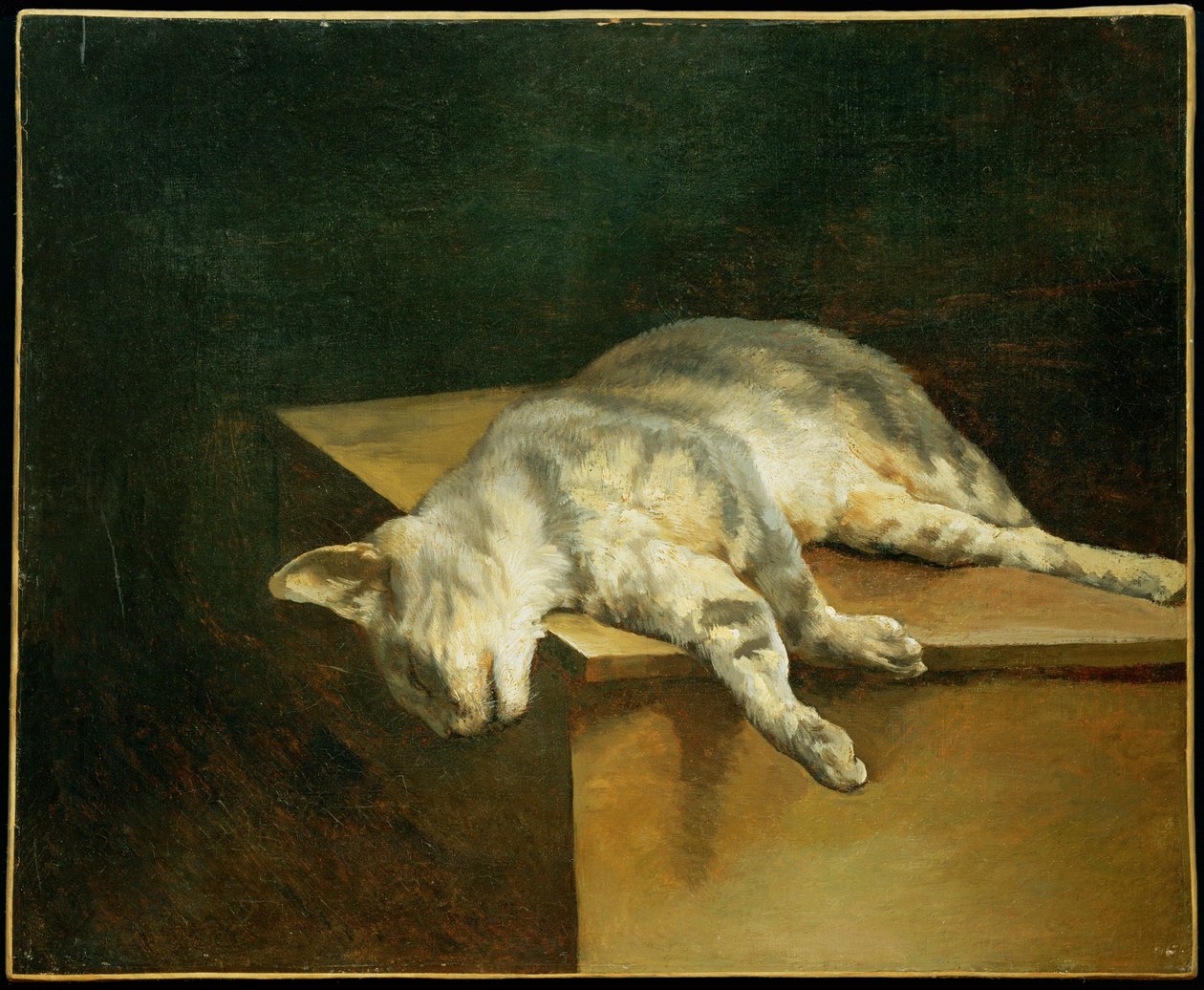 Le chat mort - El gato muerto ... de Theodore Gericault