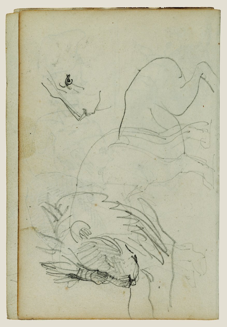 Estudios sobre el león de Theodore Gericault