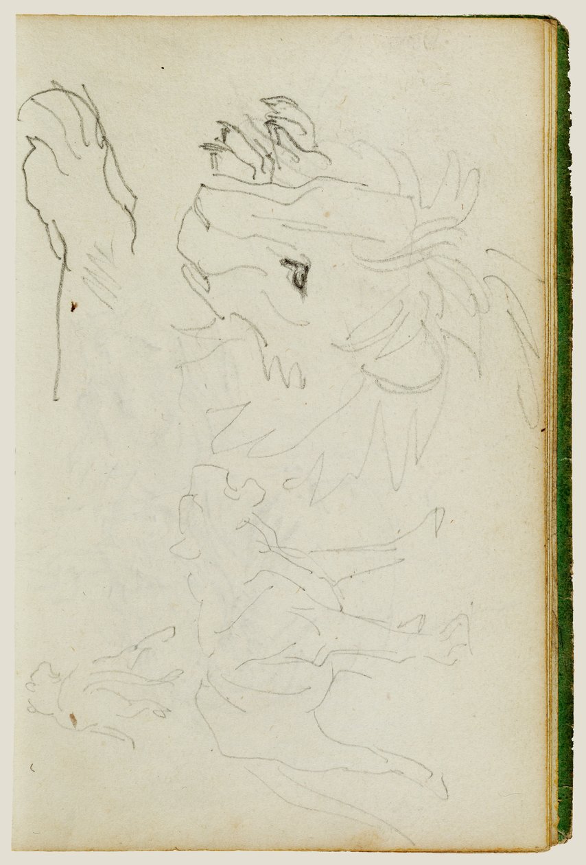Estudios sobre los leones de Theodore Gericault