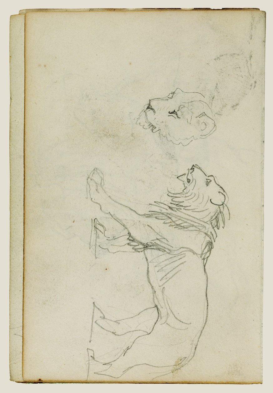León caminando, cabeza de leona de Theodore Gericault